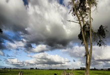 国米、多特皆取胜，40岁卡索拉助奥维耶多时隔24年