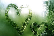 国米、多特皆取胜，40岁卡索拉助奥维耶多时隔24年