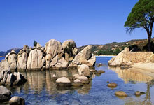 国米、多特皆取胜，40岁卡索拉助奥维耶多时隔24年