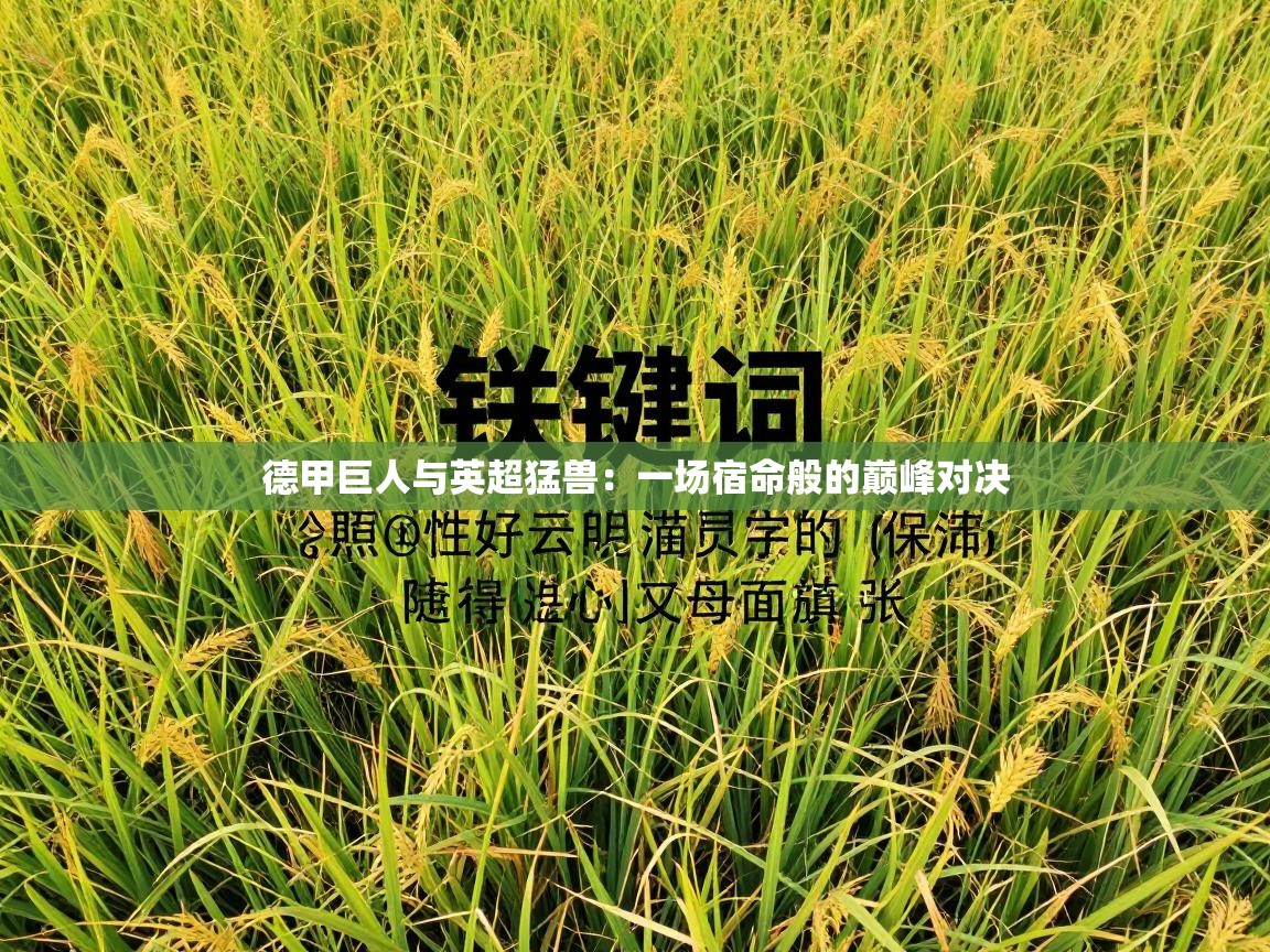 德甲巨人与英超猛兽：一场宿命般的巅峰对决  第1张